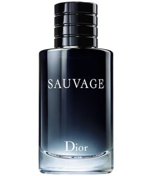 56d1512a_31bf_4d84_a3a8_5b92b5e3f923__sauvage_edt_100ml_500x500_1-8